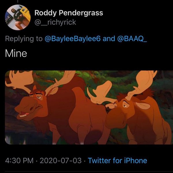 Thumbnail of p-cctcmdufwn2-f8b382289bfd497d 1