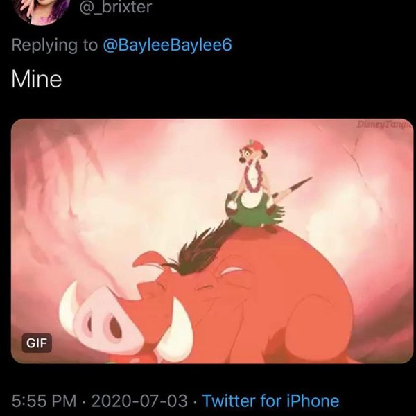 Thumbnail of p-cctcmdufwn2-f8b382289bfd497d 2