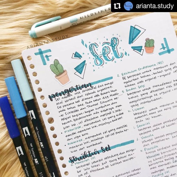 Thumbnail of b0d1-3shm2o-f8dc1259d9c546f5 0