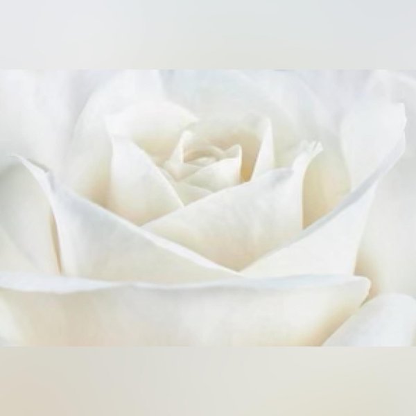 Thumbnail of p-cspnnqvrktd-f8e2d5986dea4a6f 0