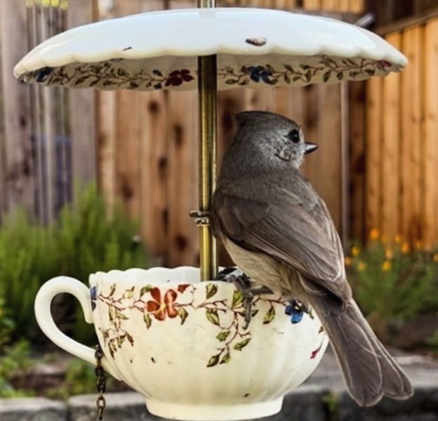 Thumbnail of p-dpyfuagimjb-f90978656a924b42 1