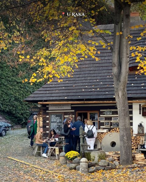 Thumbnail of p-dpyrce9ajqs-f941b74e0623439a 2