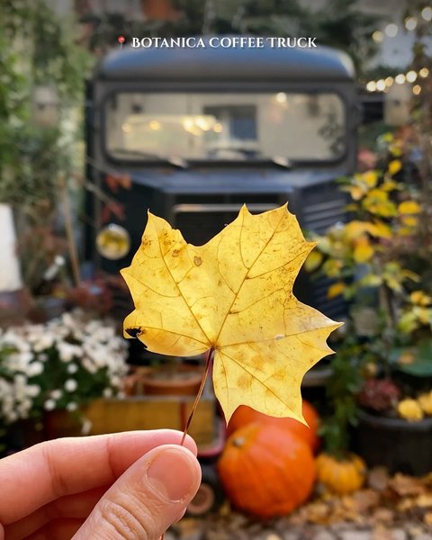 Thumbnail of p-dpyrce9ajqs-f941b74e0623439a 4