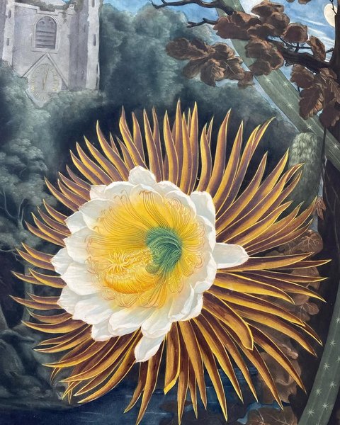 Thumbnail of www-instagram-com-p-dqp67ikjnkc 0