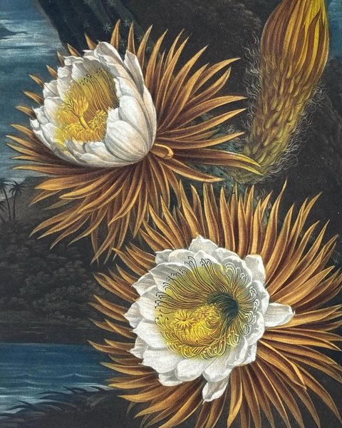 Thumbnail of www-instagram-com-p-dqp67ikjnkc 1