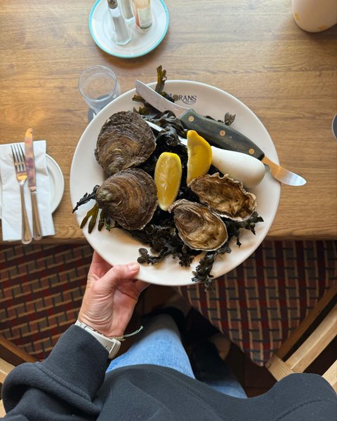 Thumbnail of c5vtqzmn-tr-f97113b3f3ce4371 4