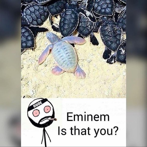 Thumbnail of p-bmwjx65noqi-f9930f9b9c1c4e86 0