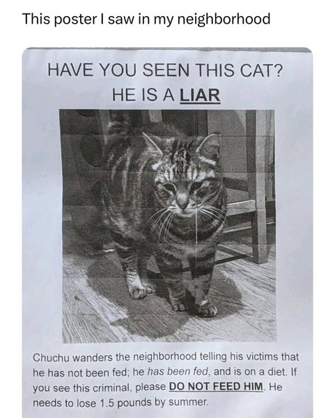 Thumbnail of p-c5205v9irn0-f9c7240718f948b8 0