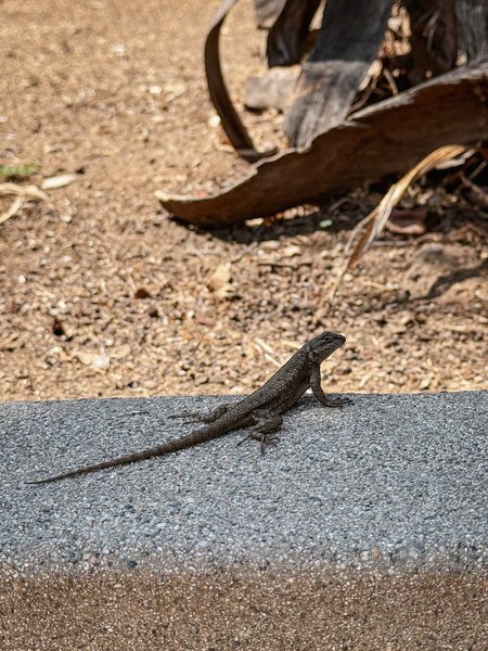 Thumbnail of y-2k-f9e9c6dbecf8474d 10
