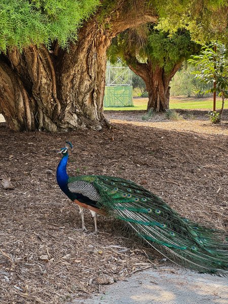 Thumbnail of y-2k-f9e9c6dbecf8474d 11
