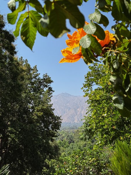 Thumbnail of y-2k-f9e9c6dbecf8474d 3