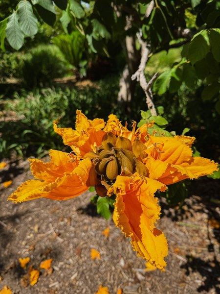 Thumbnail of y-2k-f9e9c6dbecf8474d 4