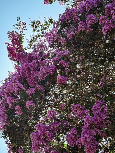 Thumbnail of y-2k-f9e9c6dbecf8474d 7