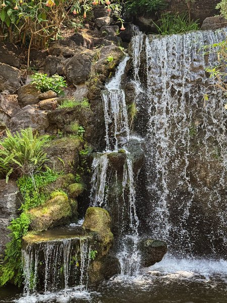 Thumbnail of y-2k-f9e9c6dbecf8474d 8