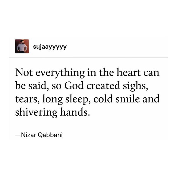 Thumbnail of p-ckkfchlqb4g-f9ec003feea94410 1