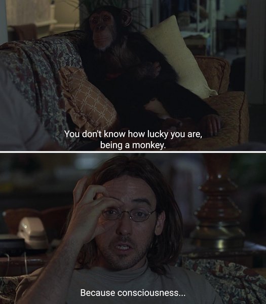 Thumbnail of p-cqde95lo9od-f9f4b3f13feb4364 5