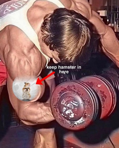 Thumbnail of p-ckecmmuszzu-fa0250ea46af403c 8