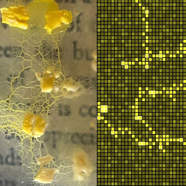 Thumbnail of p-ccp4emfqvrt-fa50484420ae4dae 2