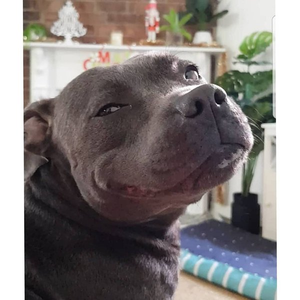 Thumbnail of p-bu9b7kmah8d-fa705aa8cb72456c 0