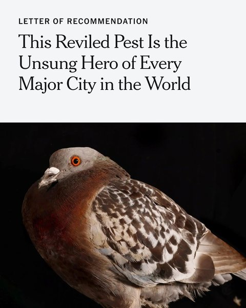 Thumbnail of p-dltanzvytpg-faf589aa3e7246cf 0