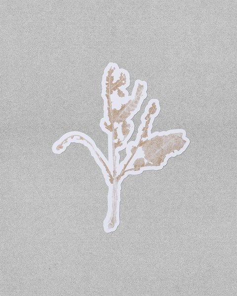 Thumbnail of p-djoovlzr8q1-fb7279eab73d4695 1