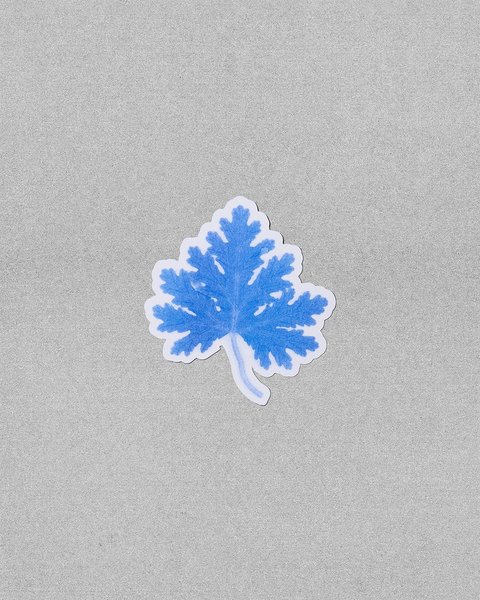 Thumbnail of p-djoovlzr8q1-fb7279eab73d4695 2