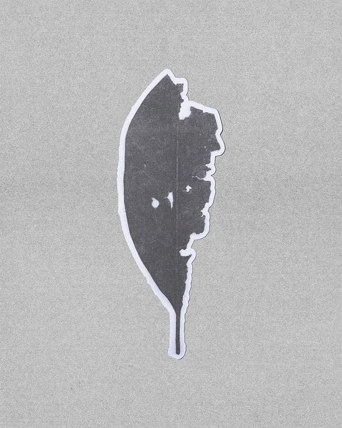 Thumbnail of p-djoovlzr8q1-fb7279eab73d4695 3