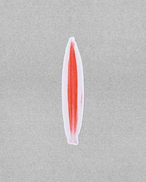 Thumbnail of p-djoovlzr8q1-fb7279eab73d4695 4