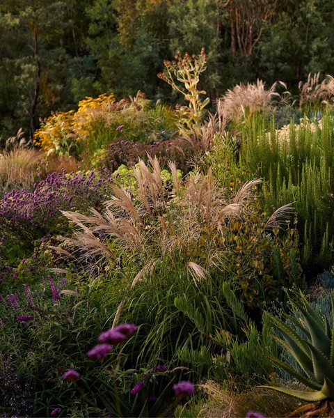 Thumbnail of p-c5ey9h5mbs3-fb9237a50944446c 5