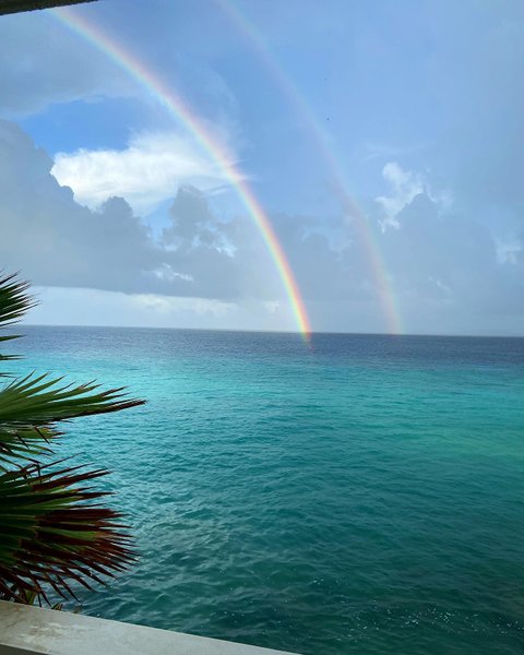 Thumbnail of p-cs6jhwir80o-fbf14a7a61784572 0