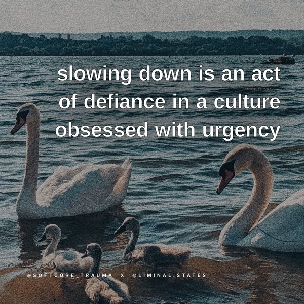 Thumbnail of p-dbjuosjxwdv-fc1ea3d405a14139 4