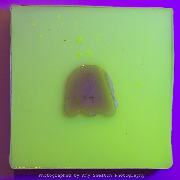 Thumbnail of p-cvduu4mpayn-fc2b0ccb20ab4ad0 1