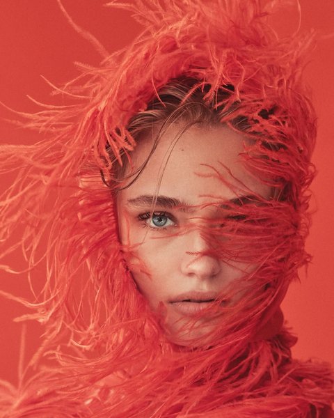 Thumbnail of b-ddifpjjug-fc6a61b36a3346de 0