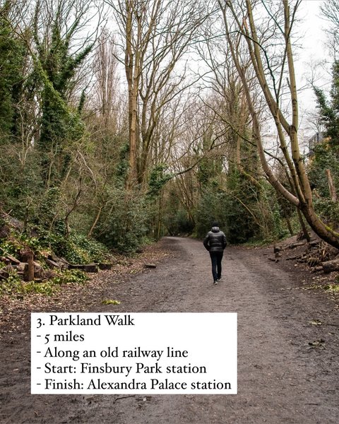 Thumbnail of p-dfyp40usws2-fc9592db0f834d45 3