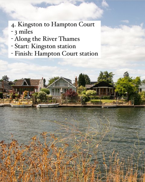 Thumbnail of p-dfyp40usws2-fc9592db0f834d45 4