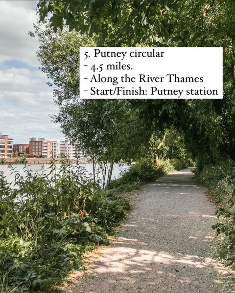 Thumbnail of p-dfyp40usws2-fc9592db0f834d45 5