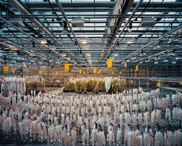 Thumbnail of p-dbl1pcatwdq-fc9b699657d44a33 5