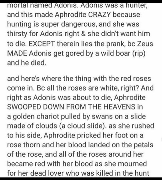 Thumbnail of p-cd21gcvhiyg-fcb84085c3034916 2