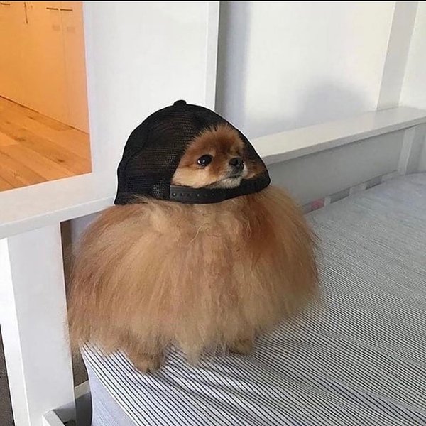 Thumbnail of ci3q-edsjc0-fcc3f591868243f4 0