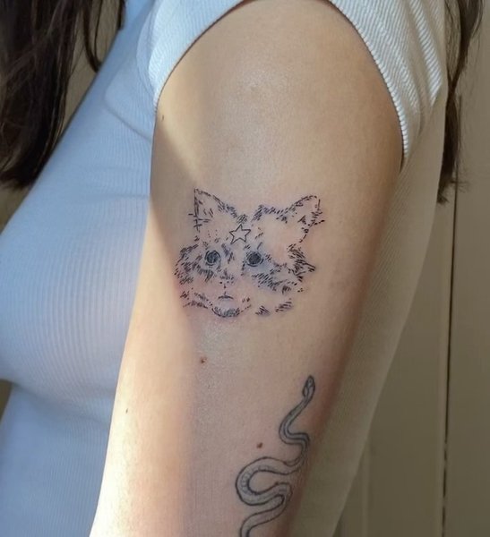 Thumbnail of cnfonxvp-ui-fd0334c955e04522 1