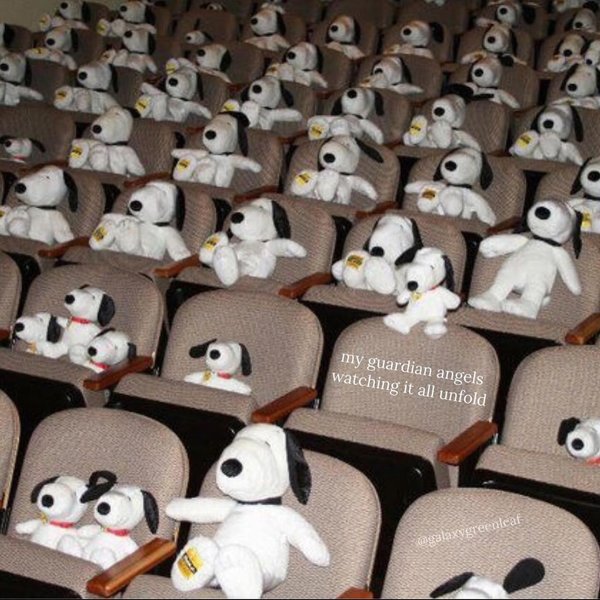 Thumbnail of p-c2s2yhxspk-fd0e29a1797441b2 2