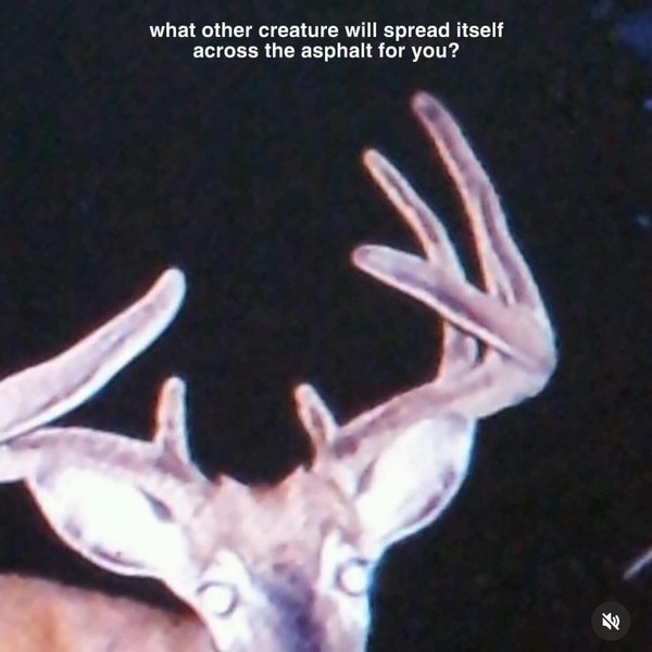 Thumbnail of p-c2s2yhxspk-fd0e29a1797441b2 4