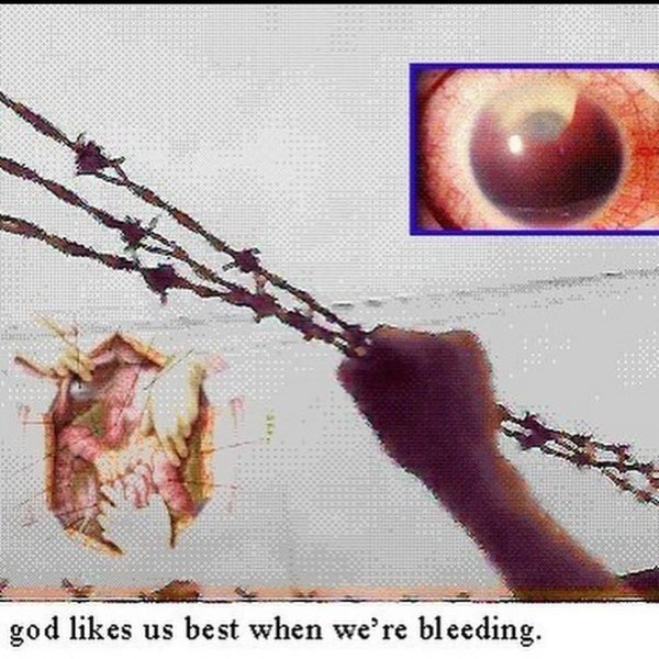 Thumbnail of p-c2s2yhxspk-fd0e29a1797441b2 5