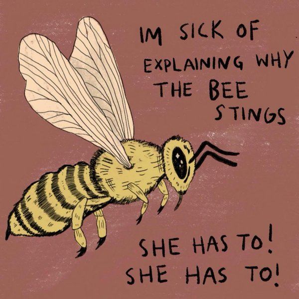 Thumbnail of p-c2s2yhxspk-fd0e29a1797441b2 7