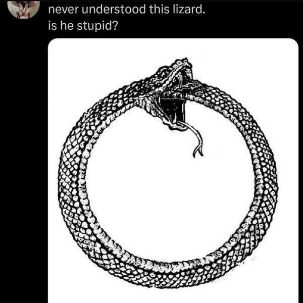 Thumbnail of p-c2s2yhxspk-fd0e29a1797441b2 8