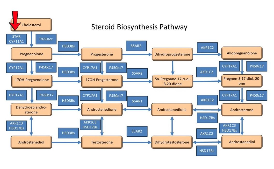 Thumbnail of www-x-com-lowmegatron-status-1969460416091742539-fd10c936c7664501