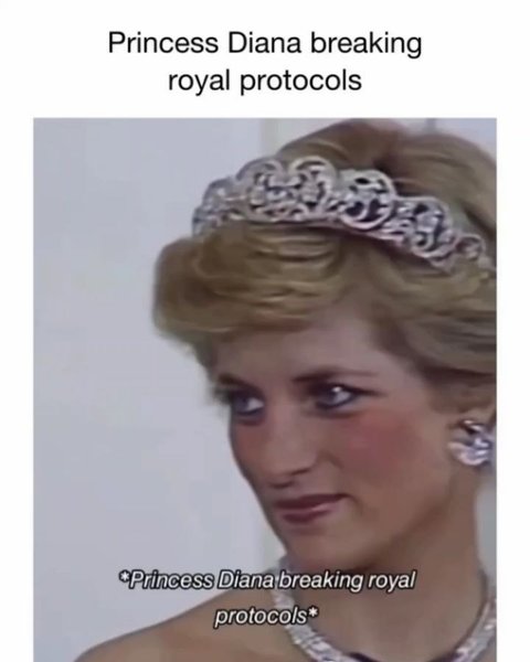 Thumbnail of dlvelmwo-zq-fd616dc809c64f8a 5