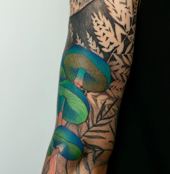 Thumbnail of p-byzhxmrik0a-fd684c07e2d543af 3