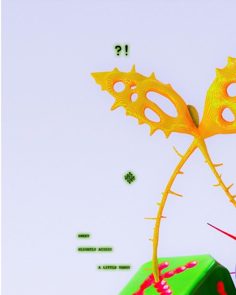 Thumbnail of p-cxgr0y4xlop-fd84cfa2da7c4fb0 1