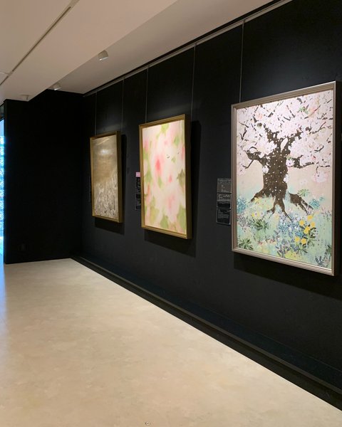 Thumbnail of p-dknbvwipjxs-fd8544103833440a 10